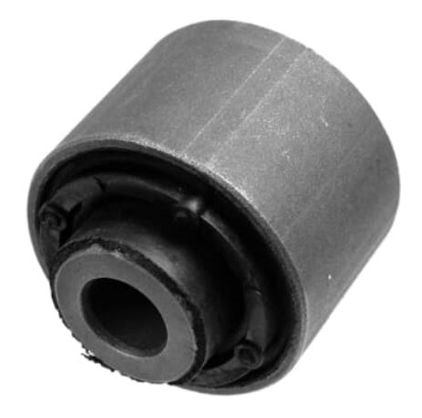 SALINCAK BURCU ONUN ARKASI GOLF IV/BORA (OS)