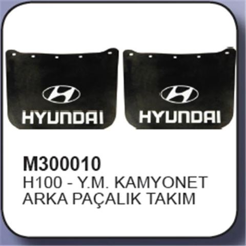 ARKA TOZLUK Y.M. (TK.) H-100 KAMYONET