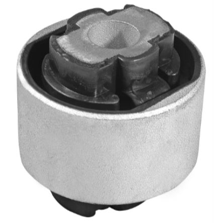 SALINCAK BURCU MESNETTI BOXER